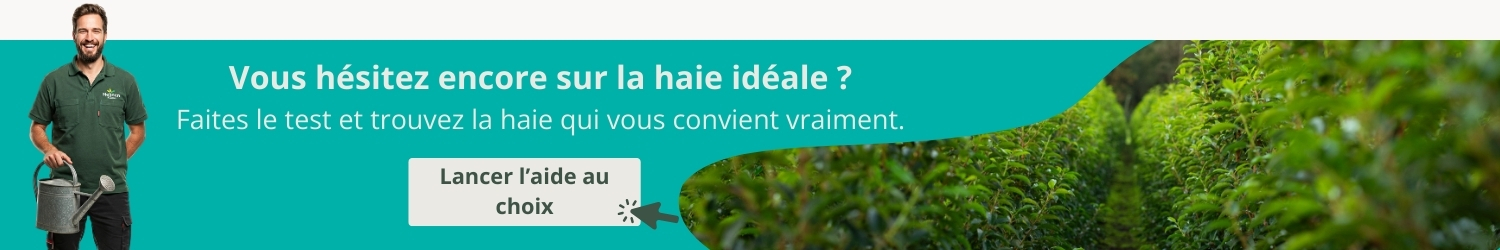 Aide à la décision